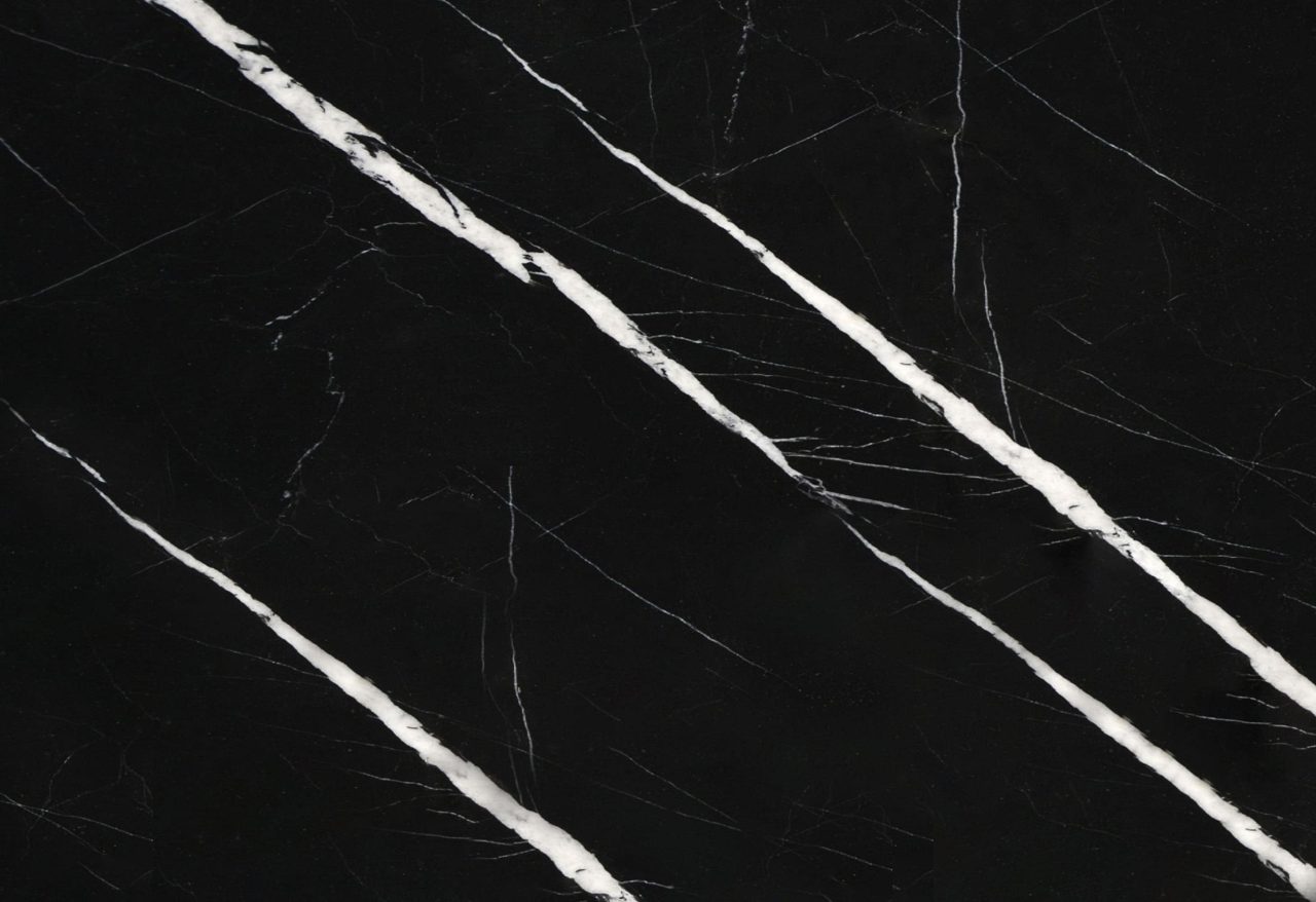 Alexandratte Black